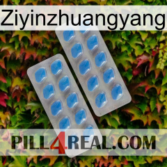 Ziyinzhuangyang 23